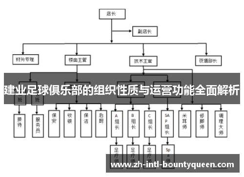 建业足球俱乐部的组织性质与运营功能全面解析
